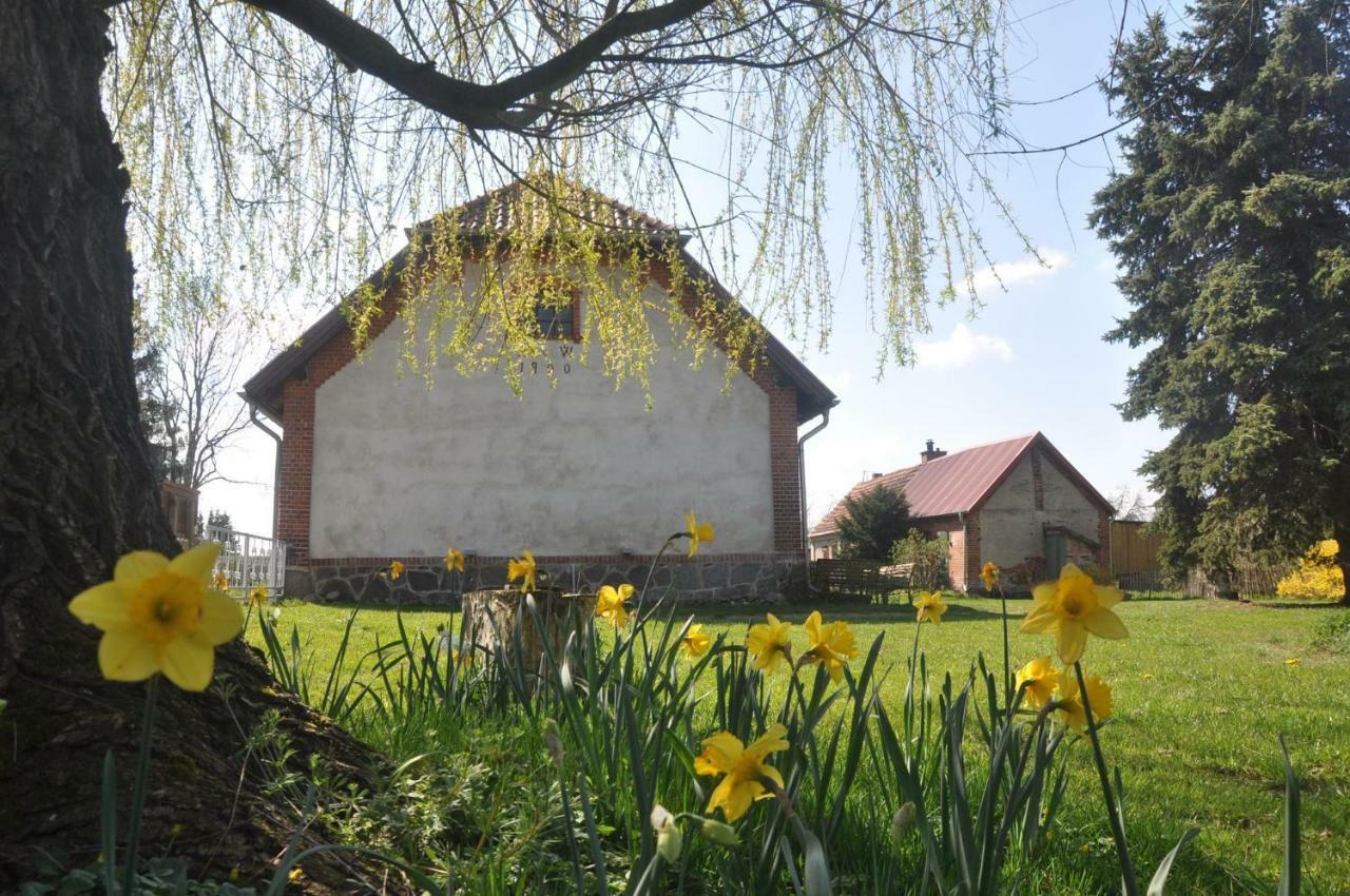Ferienhaus Ilse-Bilse Neuhausen  Exterior foto